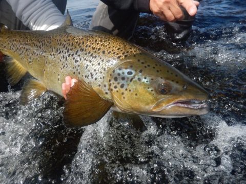 Fishing Lodge and Outfitter in Labrador - Mckenzie River Lodge